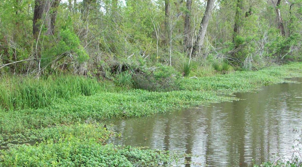 Major Drainage Canal