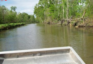 Drainage Canal Post-Permit and Cleaning